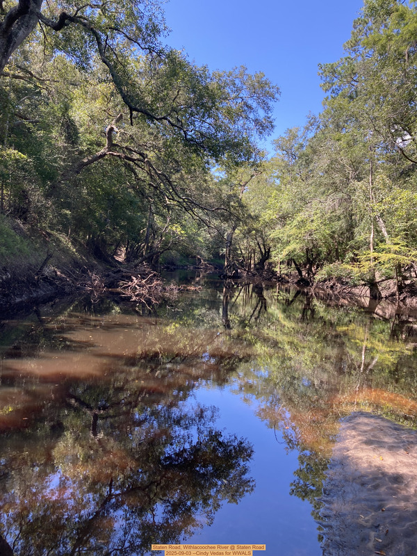[Staten Road, Withlacoochee River @ Staten Road 2025-09-03 --Cindy Vedas for WWALS]