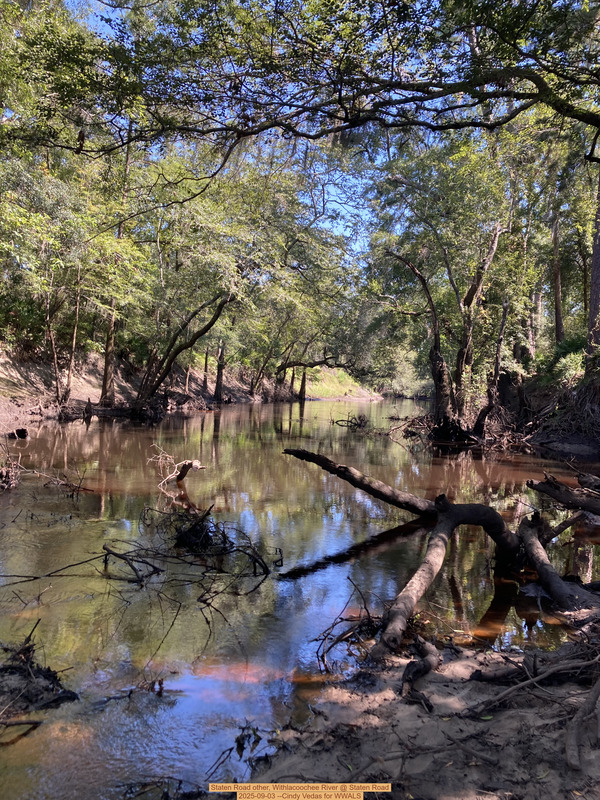 Staten Road other, Withlacoochee River @ Staten Road 2025-09-03 --Cindy Vedas for WWALS