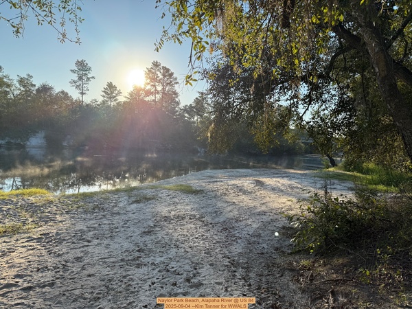 [Naylor Park Beach, Alapaha River @ US 84 2025-09-04 --Kim Tanner for WWALS]