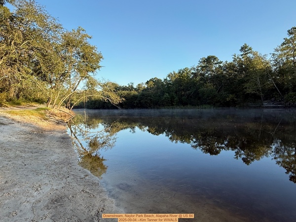 Downstream, Naylor Park Beach, Alapaha River @ US 84 2025-09-04 --Kim Tanner for WWALS
