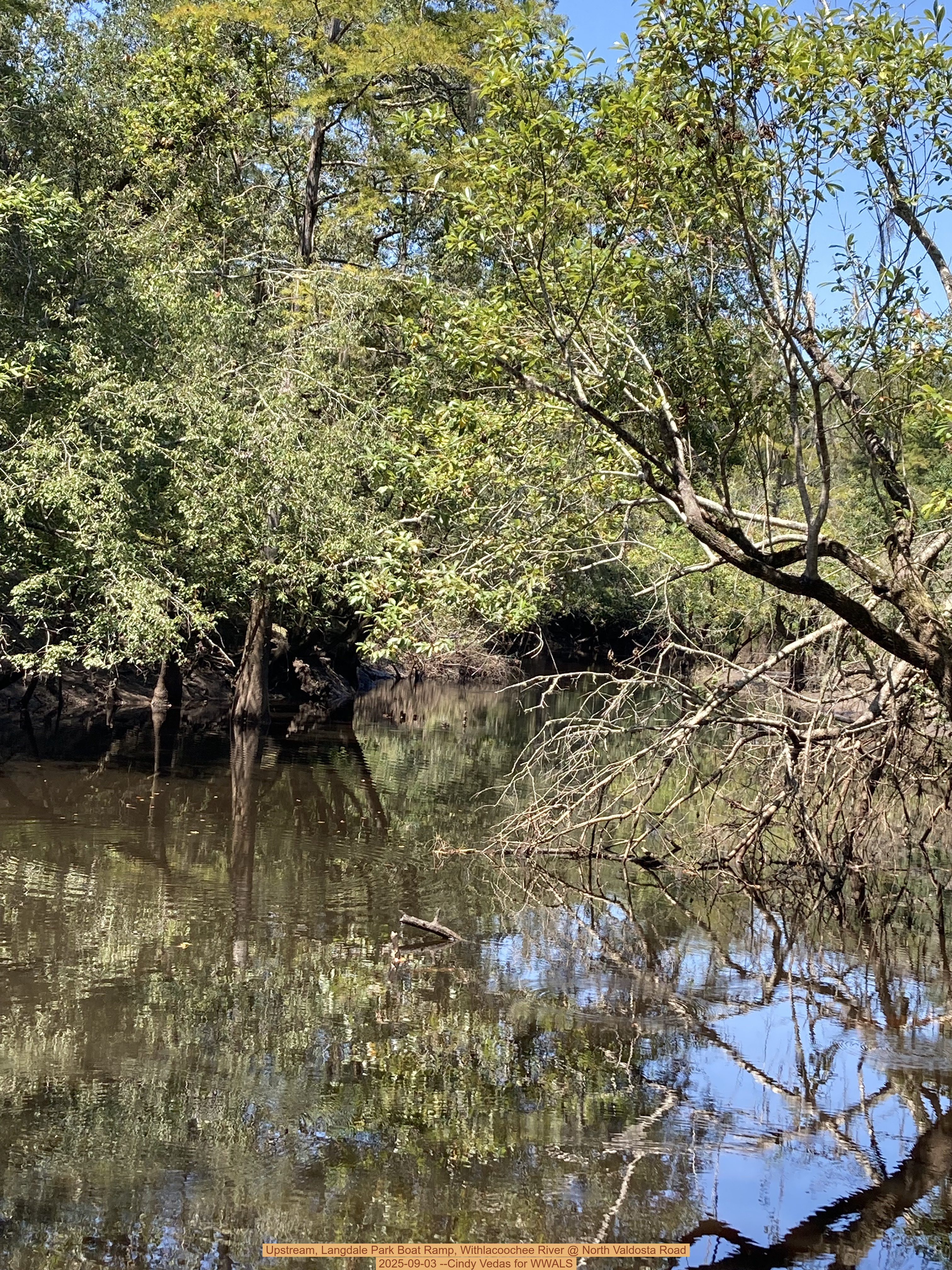 Upstream, Langdale Park Boat Ramp, Withlacoochee River @ North Valdosta Road 2025-09-03 --Cindy Vedas for WWALS
