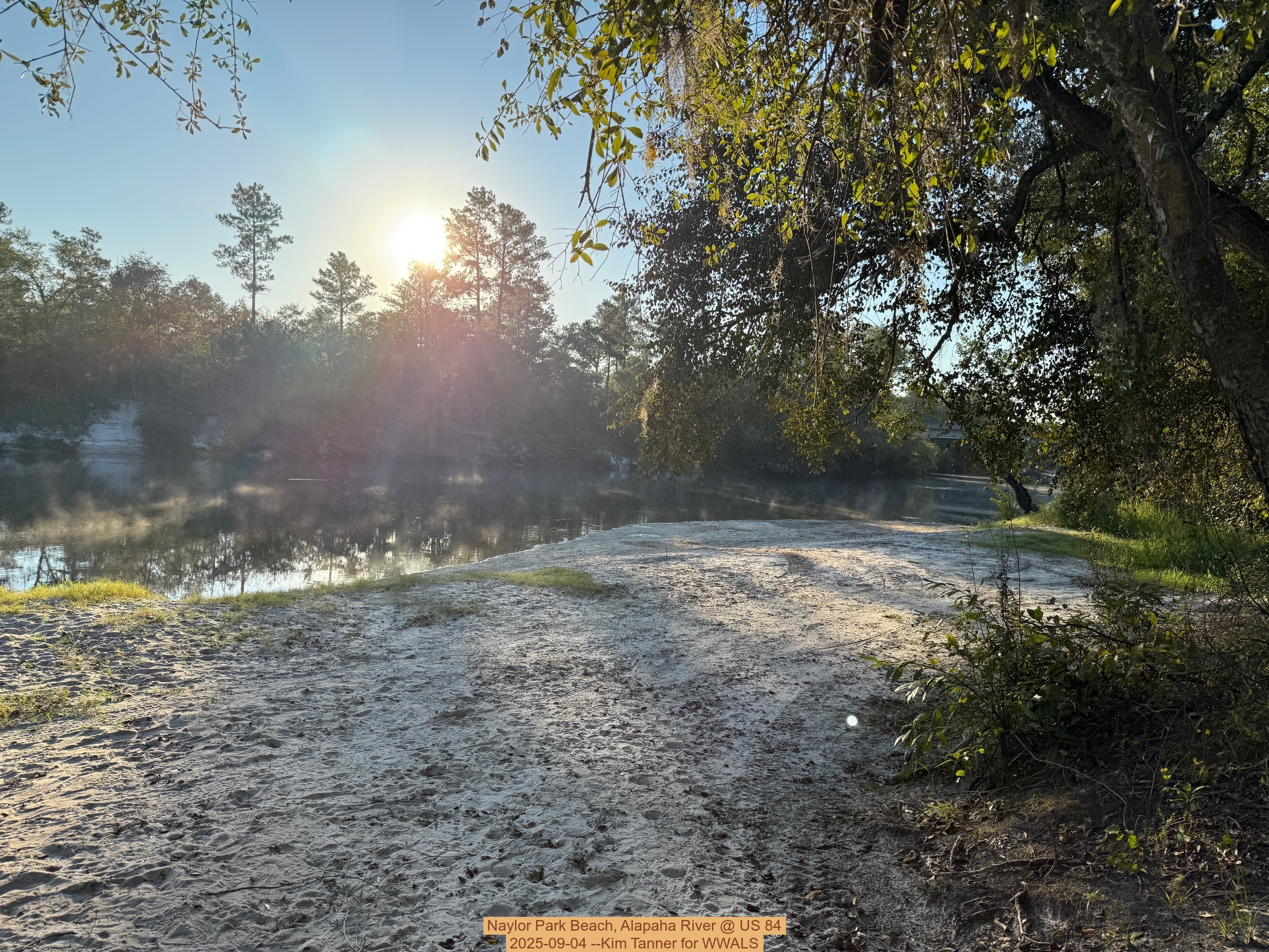 Naylor Park Beach, Alapaha River @ US 84 2025-09-04 --Kim Tanner for WWALS