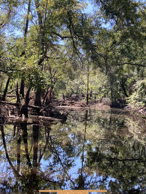 [Downstream, Langdale Park Boat Ramp, Withlacoochee River @ North Valdosta Road 2025-09-03 --Cindy Vedas for WWALS]