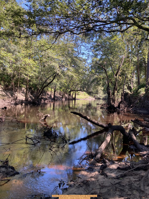[Staten Road other, Withlacoochee River @ Staten Road 2025-09-03 --Cindy Vedas for WWALS]