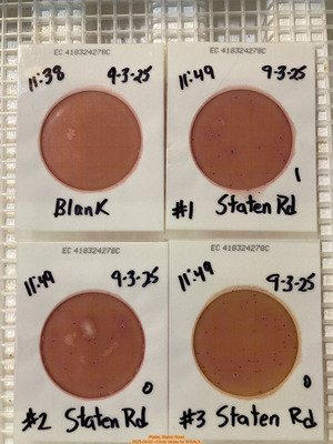 [Plates, Staten Road 2025-09-03 --Cindy Vedas for WWALS]