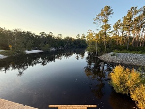 [Downstream, Lakeland Boat Ramp, Alapaha River @ GA 122 2025-09-04 --Kim Tanner for WWALS]