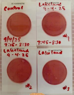 [Plates, Lakeland Boat Ramp 2025-09-04 --Kim Tanner for WWALS]