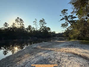 [Upstream, Naylor Park Beach, Alapaha River @ US 84 2025-09-04 --Kim Tanner for WWALS]