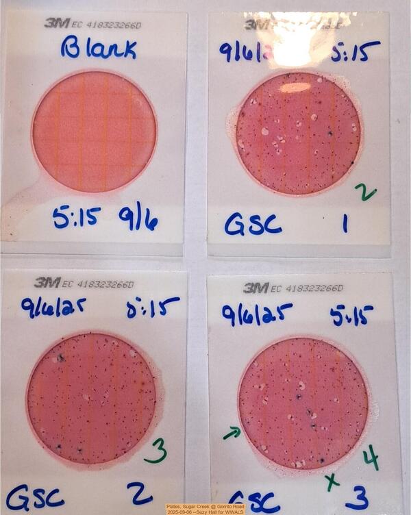 [Plates, Sugar Creek @ Gornto Road 2025-09-06 --Suzy Hall for WWALS]