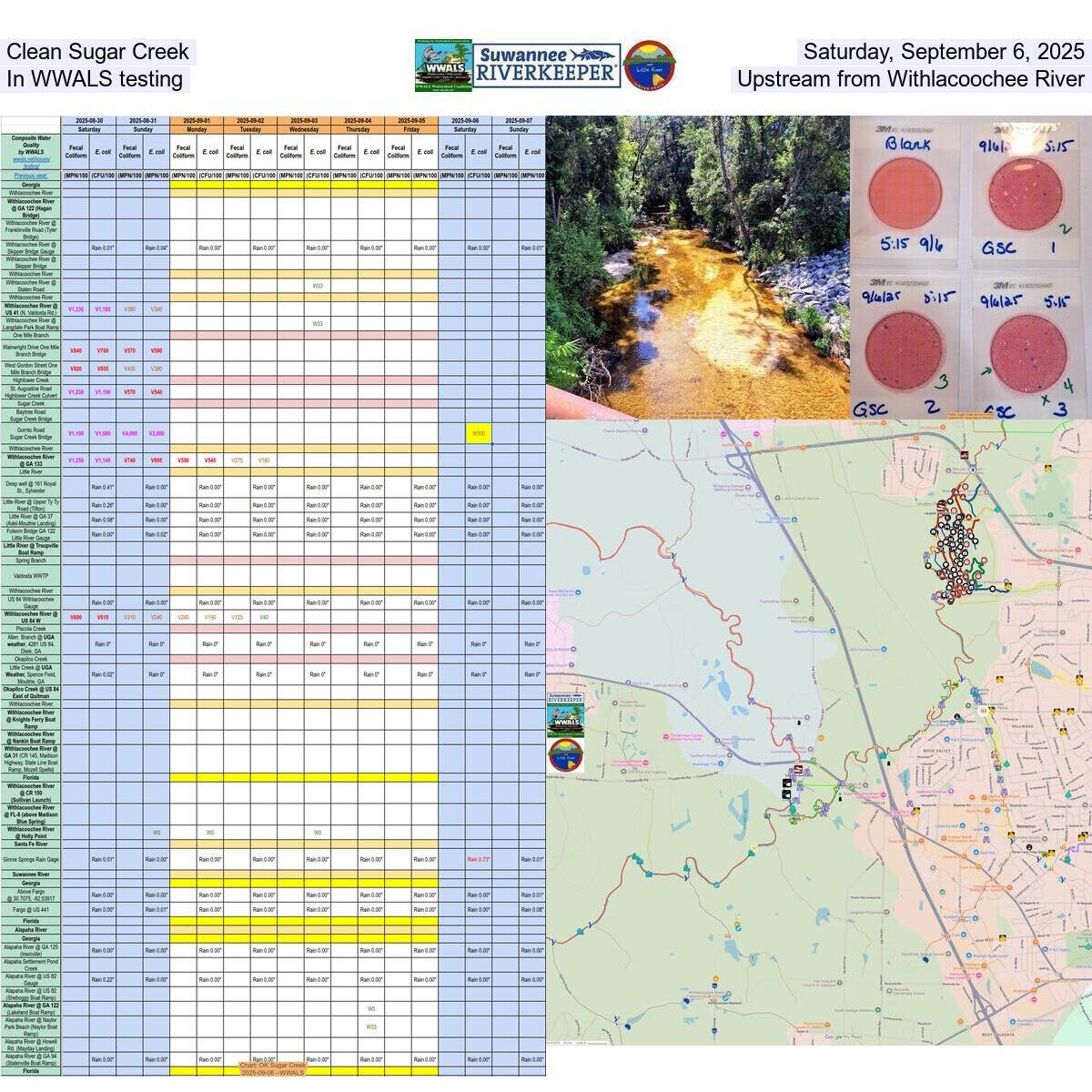Clean Sugar Creek, Saturday, September 6, 2025, In WWALS testing, Upstream from Withlacoochee River