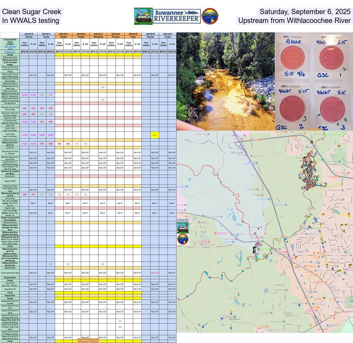 [Clean Sugar Creek, Saturday, September 6, 2025, In WWALS testing, Upstream from Withlacoochee River]