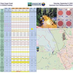 [Clean Sugar Creek, Saturday, September 6, 2025, In WWALS testing, Upstream from Withlacoochee River]