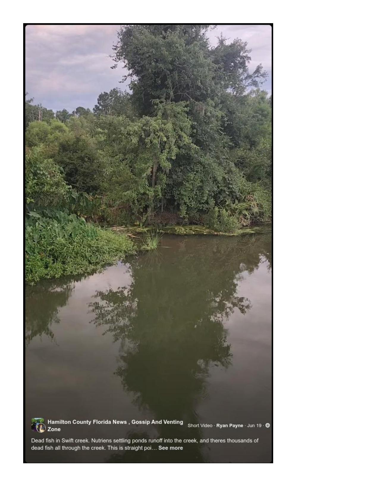 Image of dead fish in Swift Creek, 2025-06-19 on facebook