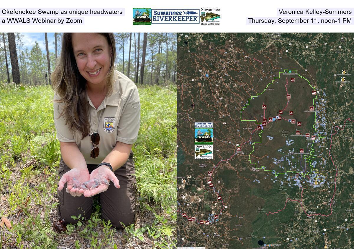 Okefenokee Swamp as unique headwaters, Veronica Kelley-Summers, a WWALS Webinar by Zoom, Thursday, September 11, noon-1 PM