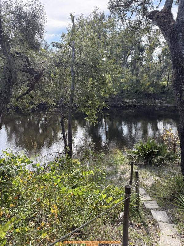 [Holly Point, Withlacoochee River @ NE Withla Bluffs Way 2025-09-10]