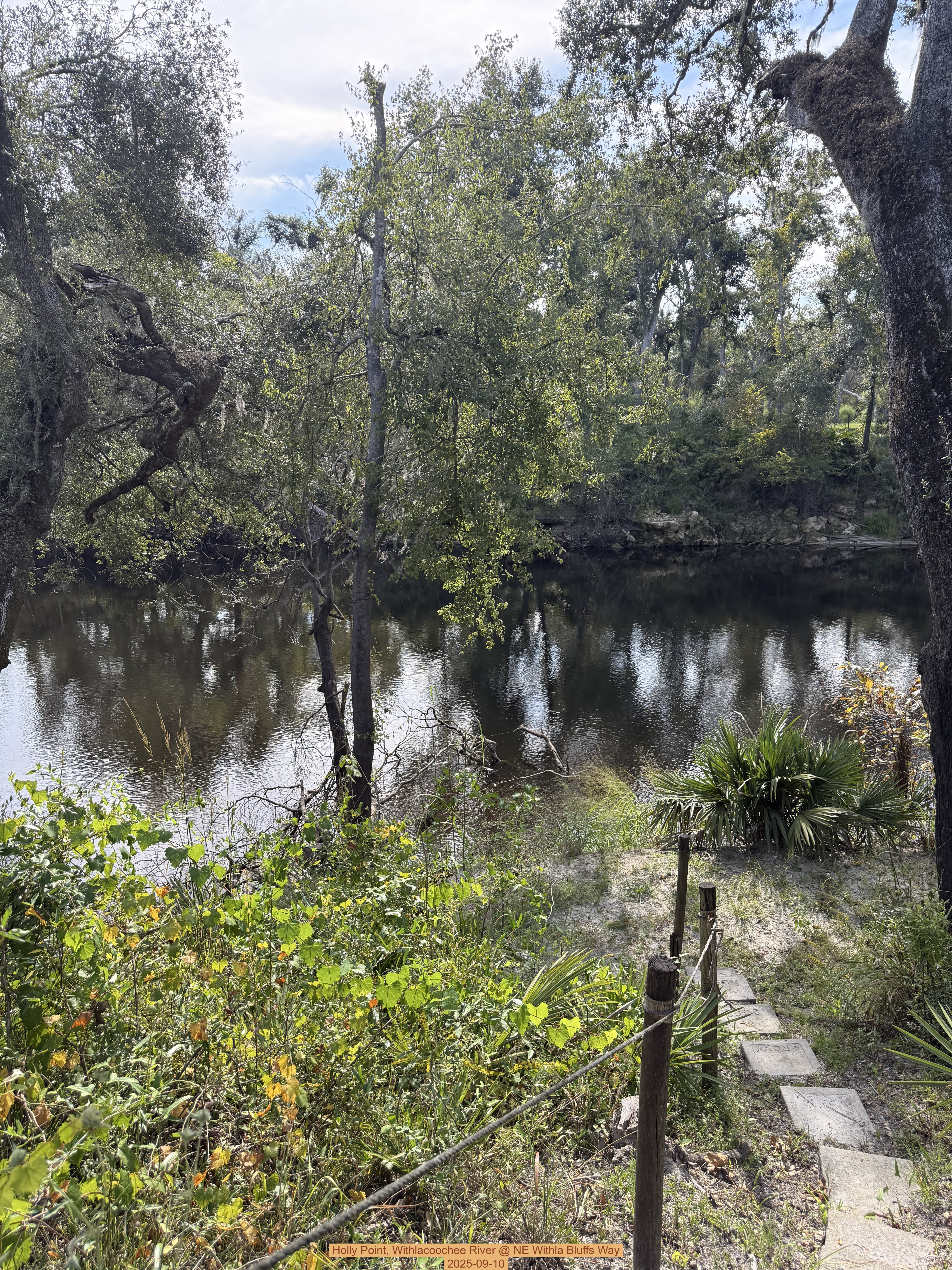 Holly Point, Withlacoochee River @ NE Withla Bluffs Way 2025-09-10