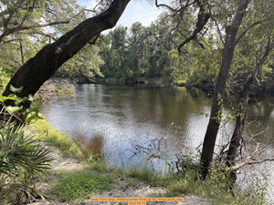 [Holly Point other, Withlacoochee River @ NE Withla Bluffs Way 2025-09-10]