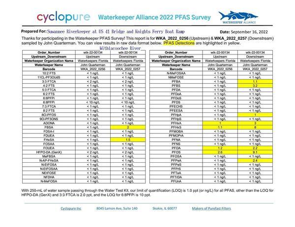 [Georgia PFAS results: US 41 and Knights Ferry Boat Ramp, Withlacoochee River]
