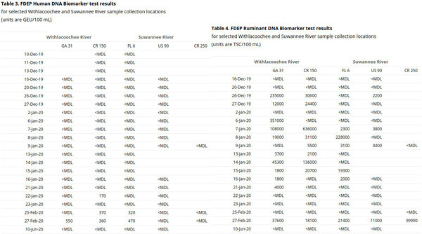 Human and Ruminant DNA markers