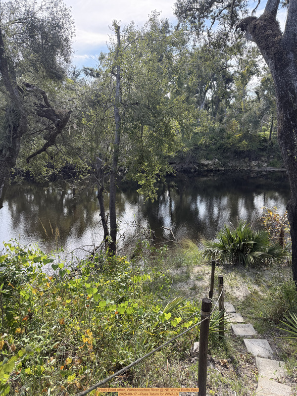 Holly Point other, Withlacoochee River @ NE Withla Bluffs Way 2025-09-17 --Russ Tatum for WWALS