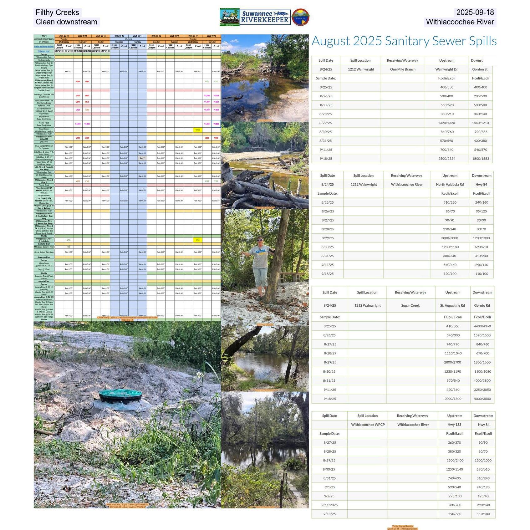 Filthy Creeks 2025-09-18, Clean downstream Withlacoochee River