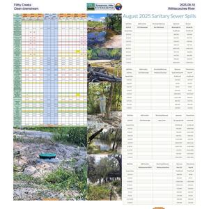 [Filthy Creeks 2025-09-18, Clean downstream Withlacoochee River]