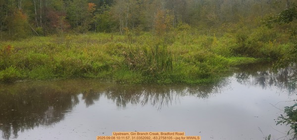 [Upstream, Gin Branch Creak, Bradford Road, 2025:09:08 10:11:57, 31.0352092, -83.2758105 --jsq for WWALS]