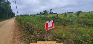 [Context, Public Notice, Bradford Road, 2025:09:08 10:13:54, 31.0343538, -83.2694232 --jsq for WWALS]