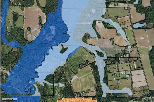 [Map: Flood Zone, County Wetlands, 2025-09-18 --Berrien County Property Appraiser]