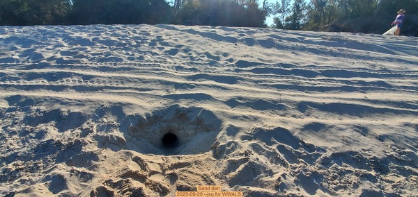 [Sand den, 2025-09-20 --jsq for WWALS]