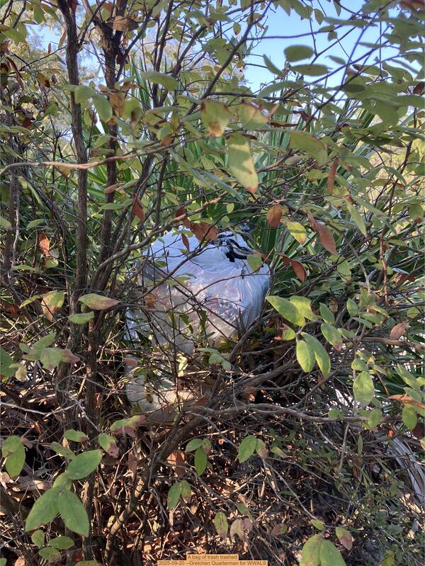 A bag of trash trashed, 2025-09-20 --Gretchen Quarterman for WWALS