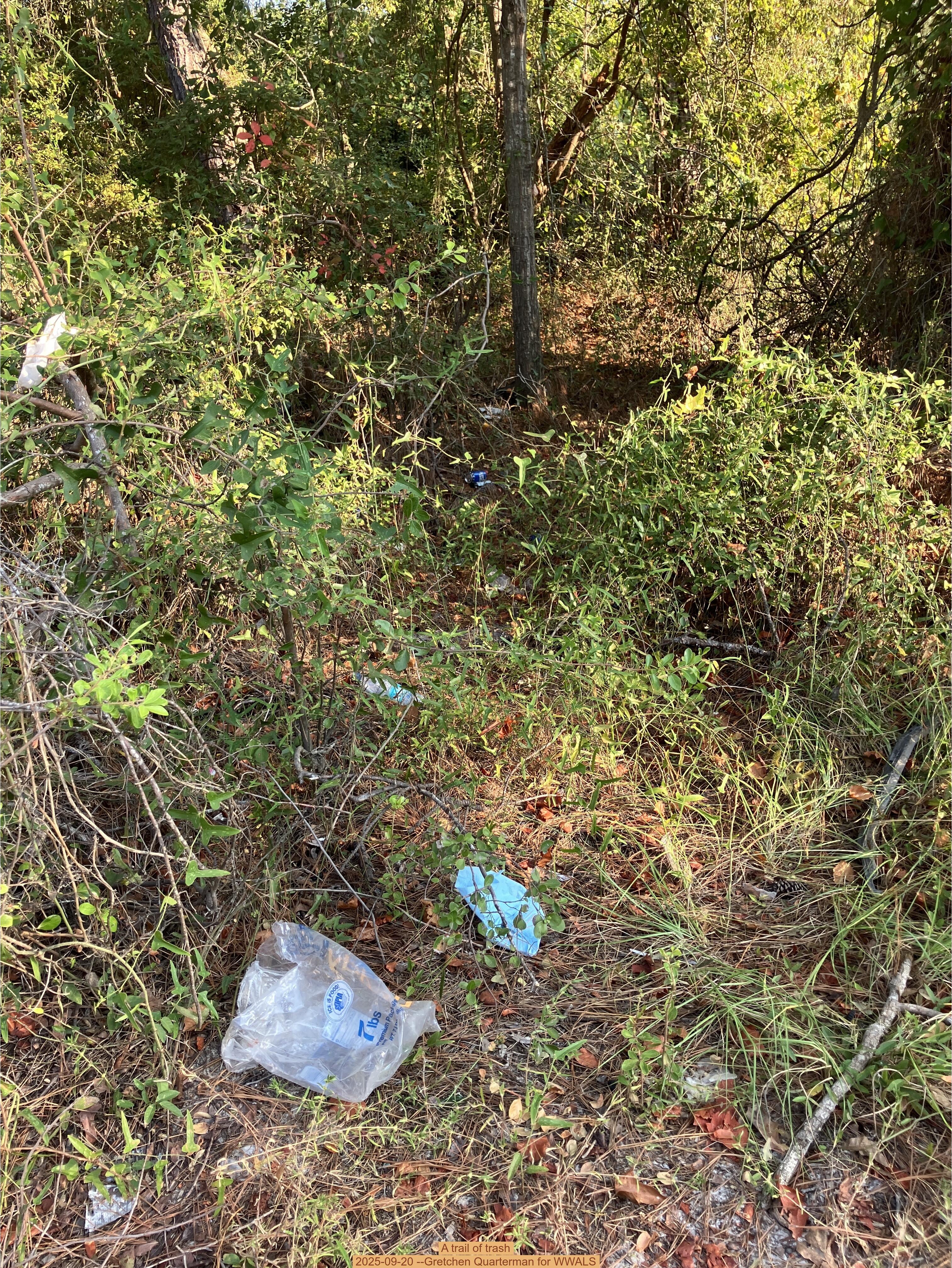A trail of trash, 2025-09-20 --Gretchen Quarterman for WWALS