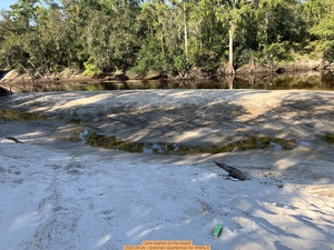 [Cans trashed on the beach, 2025-09-20 --Gretchen Quarterman for WWALS]