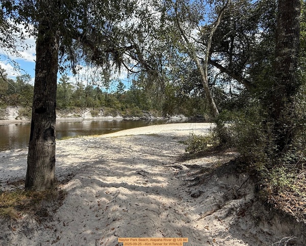 [Naylor Park Beach, Alapaha River @ US 84 2025-09-25 --Kim Tanner for WWALS]