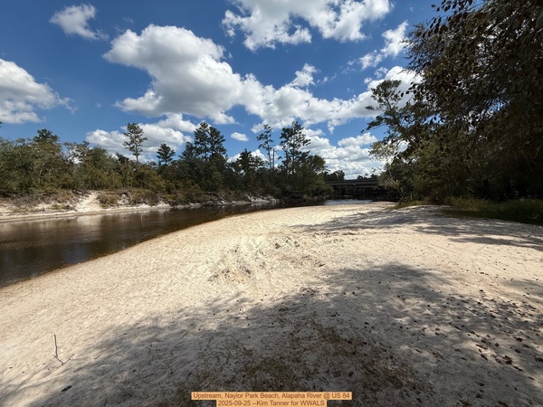 Upstream, Naylor Park Beach, Alapaha River @ US 84 2025-09-25 --Kim Tanner for WWALS