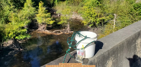 [Cat Creek at Cat Creek Road, 2025:09:25 10:18:51, 30.9900619, -83.2450568 --jsq for WWALS]