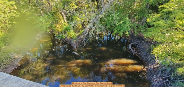 Upstream, Cat Creek at Cat Creek Road, 2025:09:25 10:19:09, 30.9900619, -83.2450568 --jsq for WWALS