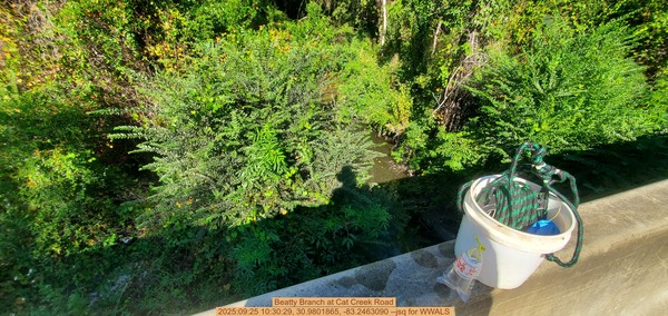 [Beatty Branch at Cat Creek Road, 2025:09:25 10:30:29, 30.9801865, -83.2463090 --jsq for WWALS]