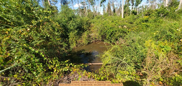 Context, Beatty Branch at Bemiss Road, 2025:09:25 11:14:15, 30.9813438, -83.2081138 --jsq for WWALS