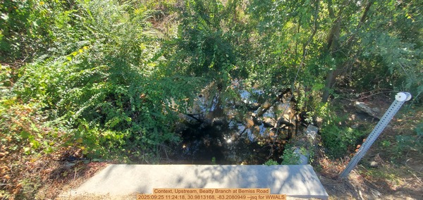 Context, Upstream, Beatty Branch at Bemiss Road, 2025:09:25 11:24:18, 30.9813168, -83.2080949 --jsq for WWALS