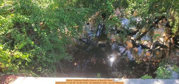 Movie: Upstream Beatty Branch at Bemiss Road, 2025:09:25 11:24:35, 30.9813168, -83.2080949 (10M) --jsq for WWALS