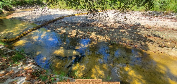 [Sugar Creek at WaterGoat, 2025:09:25 12:03:47, 30.8626652, -83.3185956 --jsq for WWALS]