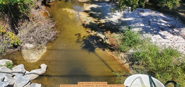 [Sugar Creek at Gornto Road, 2025:09:25 12:13:22, 30.8599143, -83.3173654 --jsq for WWALS]