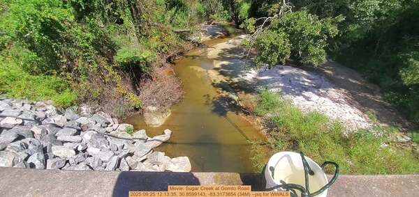 Movie: Sugar Creek at Gornto Road, 2025:09:25 12:13:35, 30.8599143, -83.3173654 (34M) --jsq for WWALS
