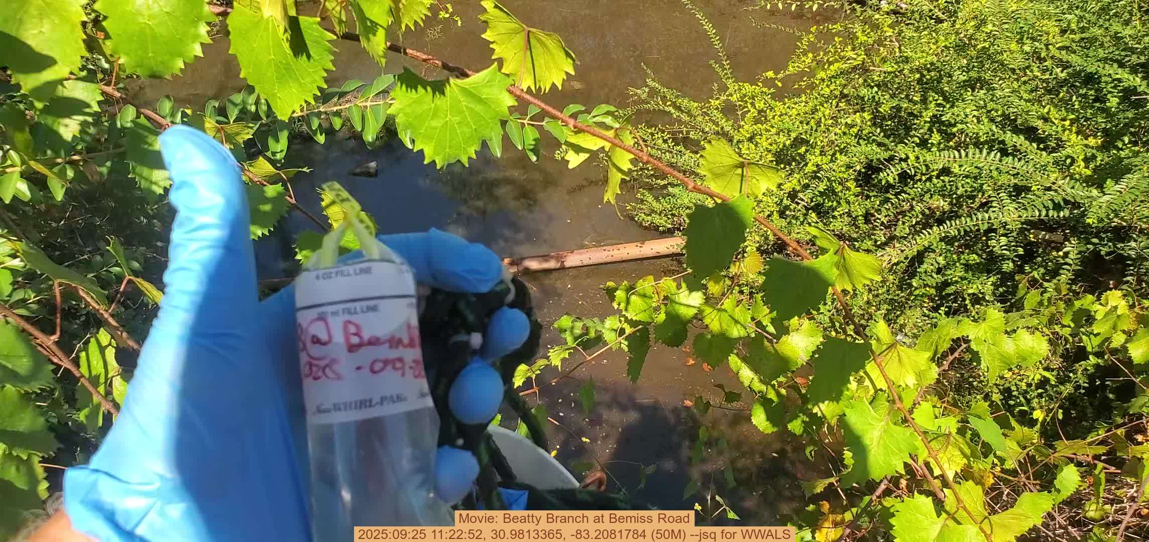 Movie: Beatty Branch at Bemiss Road, 2025:09:25 11:22:52, 30.9813365, -83.2081784 (50M) --jsq for WWALS