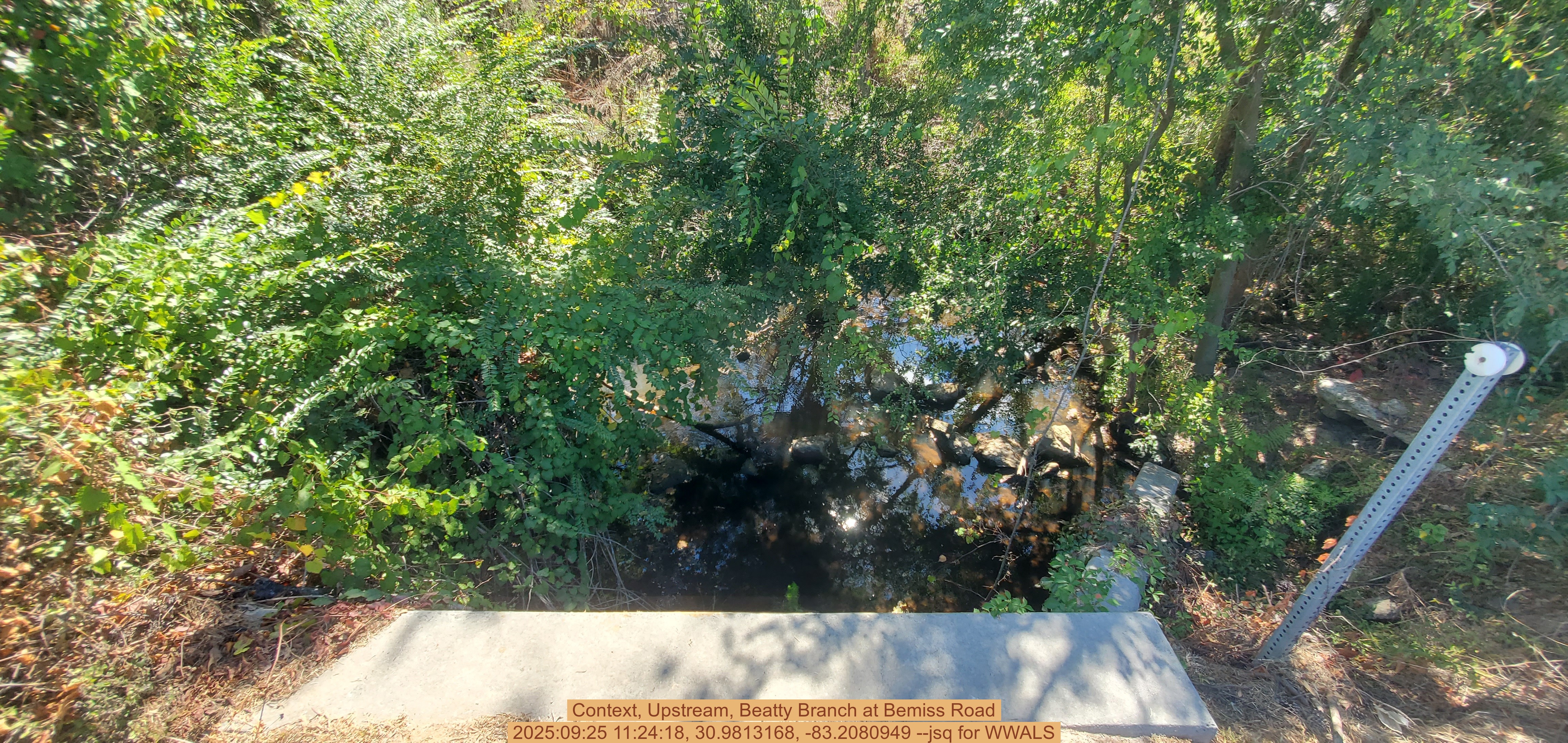 Context, Upstream, Beatty Branch at Bemiss Road, 2025:09:25 11:24:18, 30.9813168, -83.2080949 --jsq for WWALS