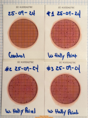 [Plates, Holly Point 2025-09-24 --Russ Tatum for WWALS]