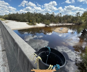 [Across, Lakeland Boat Ramp, Alapaha River @ GA 122 2025-09-25 --Kim Tanner for WWALS]