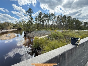 [Back, Lakeland Boat Ramp, Alapaha River @ GA 122 2025-09-25 --Kim Tanner for WWALS]
