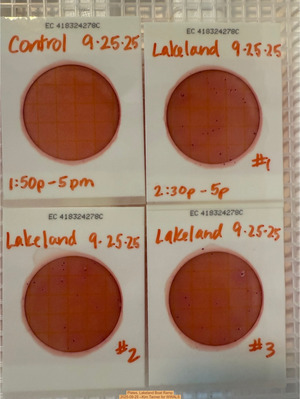 [Plates, Lakeland Boat Ramp 2025-09-25 --Kim Tanner for WWALS]